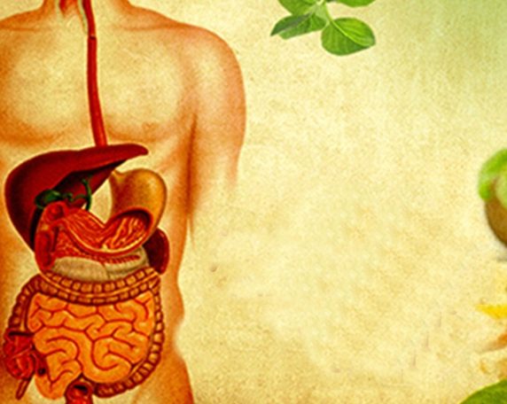Virechana purgation therapy
